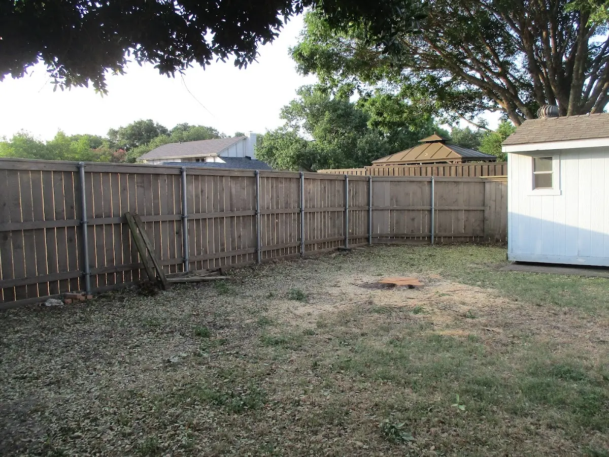 Cleared yard after professional tree removal in Vineland